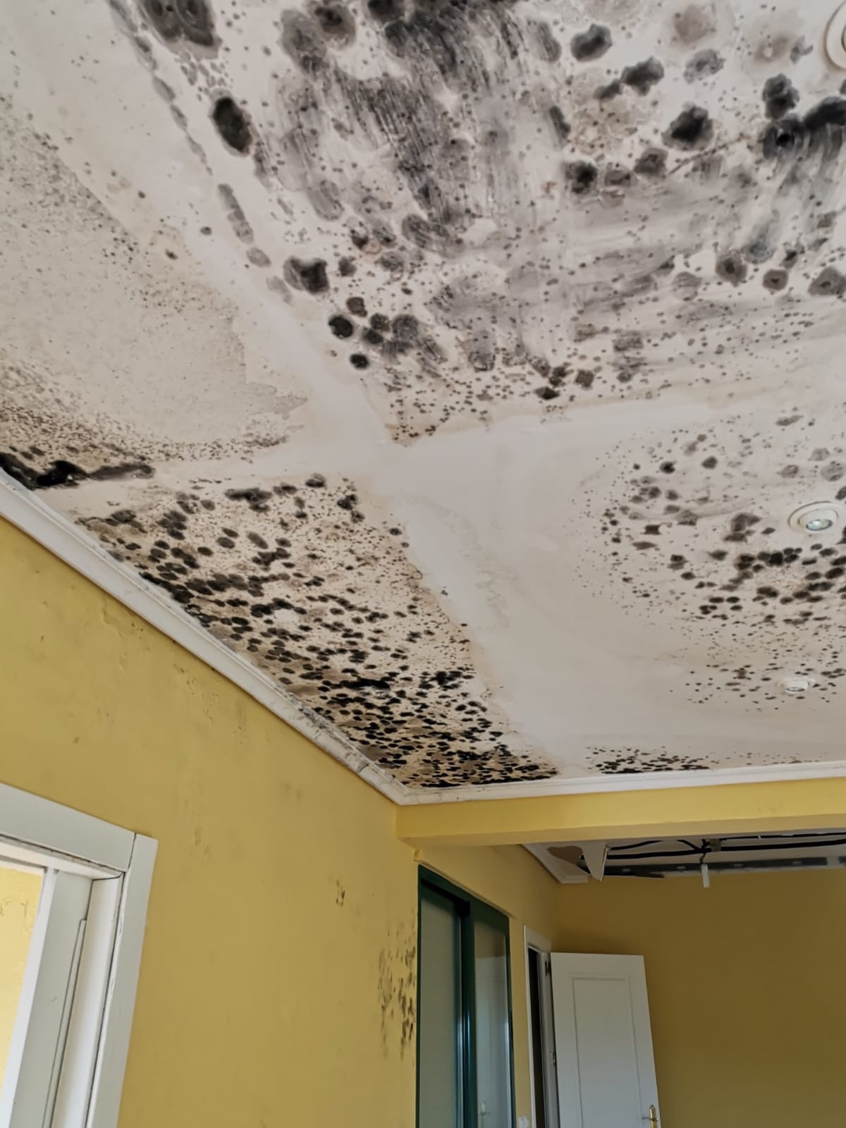 Reparación por humedades en vivienda